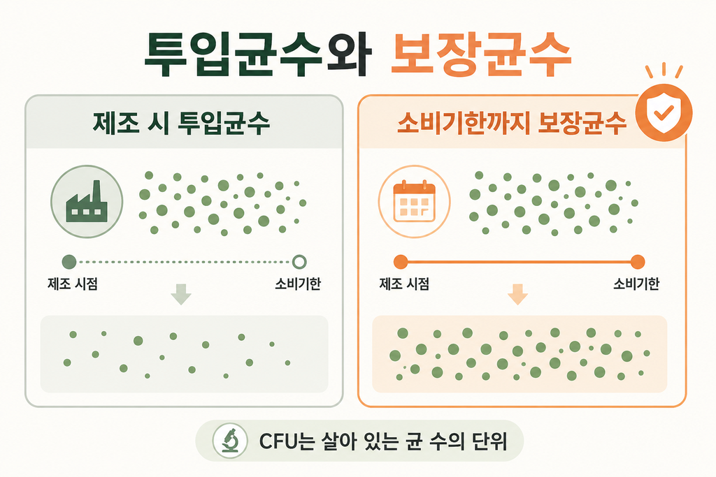 2026년 임신·수유 중 유산균 고르는 법|보장균수·균주·제형 차이 설명 이미지 2