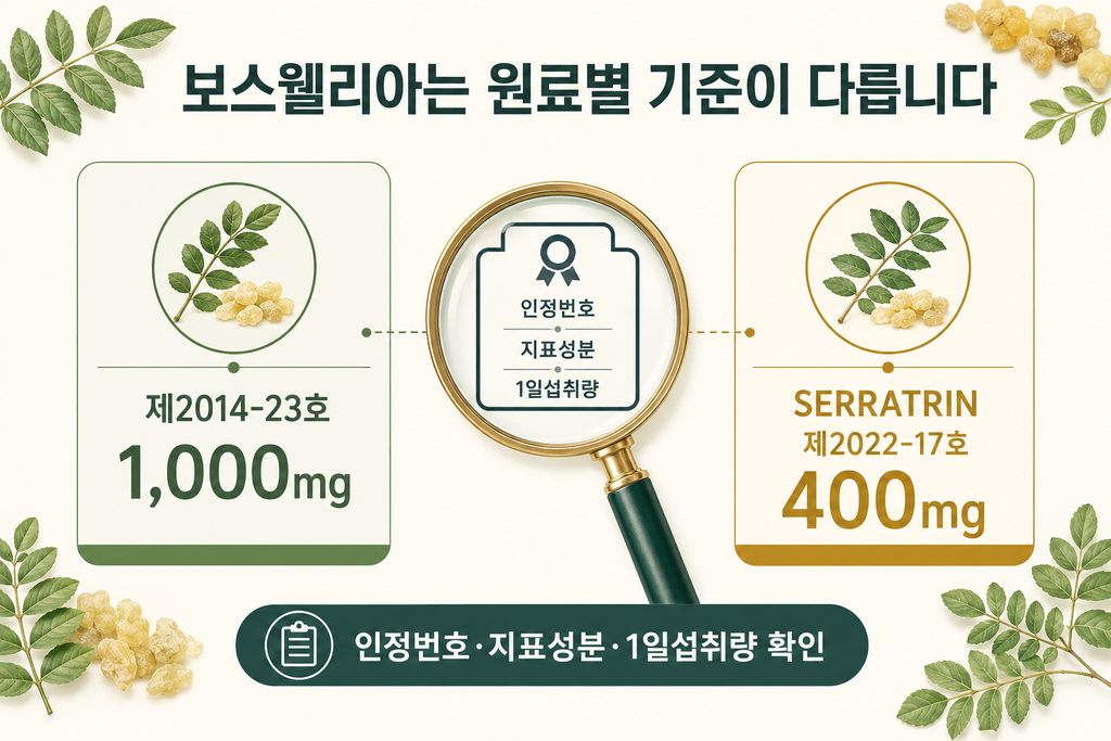 2026년 50대 관절 영양제 고르는 법｜MSM·NAG·보스웰리아 함량 차이 설명 이미지 4