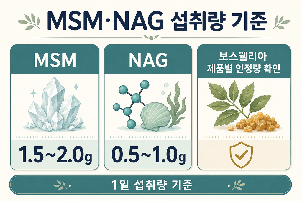2026년 50대 관절 영양제 고르는 법｜MSM·NAG·보스웰리아 함량 차이 설명 이미지 3