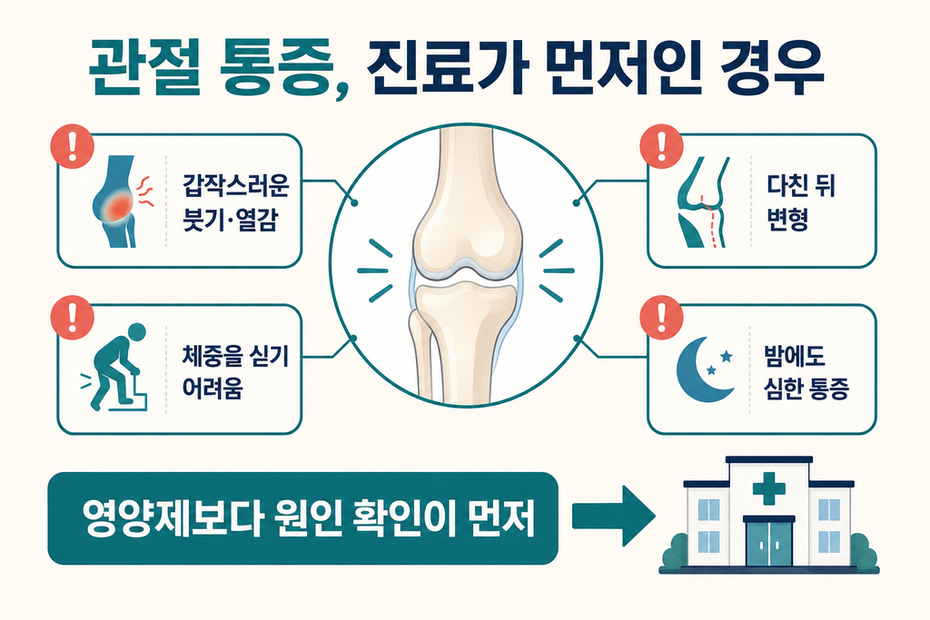 2026년 50대 관절 영양제 고르는 법｜MSM·NAG·보스웰리아 함량 차이 설명 이미지