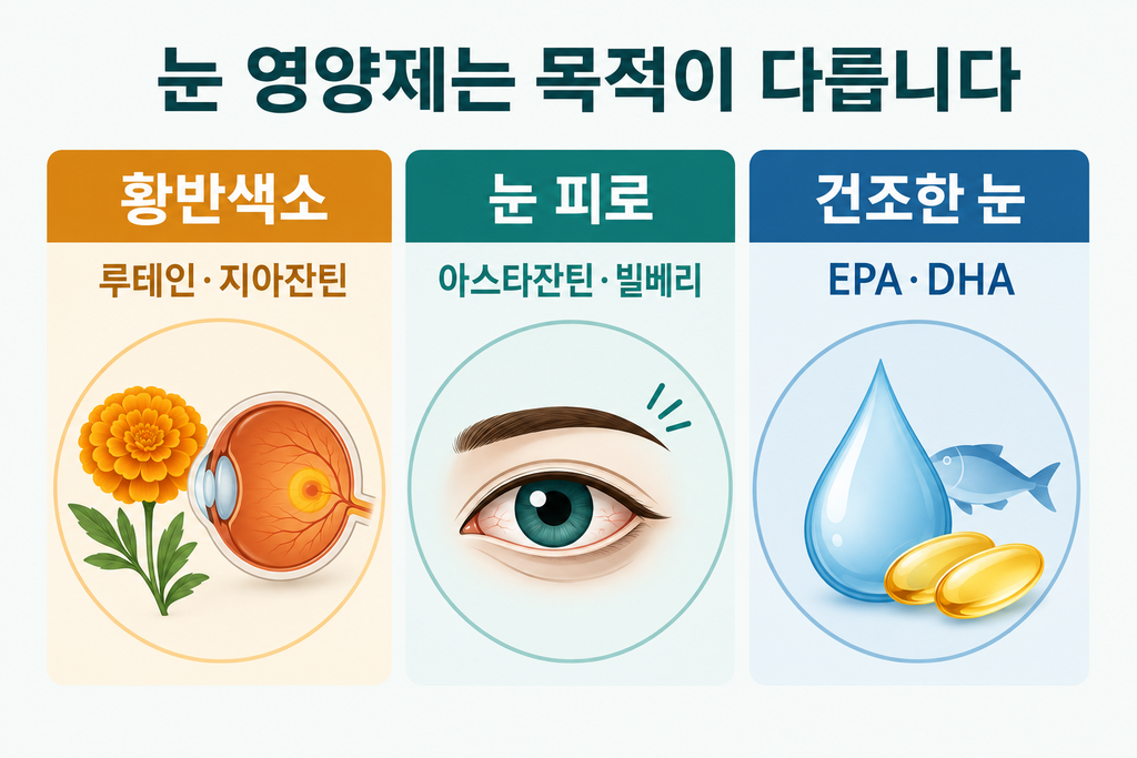 2026년 50대 눈 영양제 고르는 법｜루테인·지아잔틴·아스타잔틴 차이 설명 이미지 2
