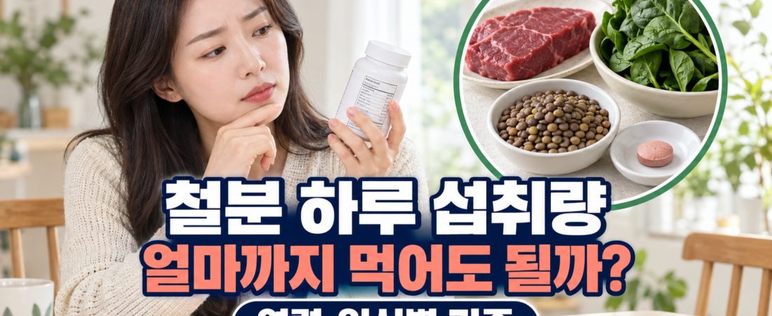 철분 하루 섭취량 얼마일까? 연령·임신 여부별 기준과 과다섭취 주의사항